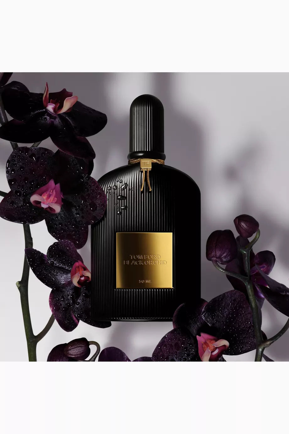 Black Orchid Eau De Parfum 50ML + 10ML Set