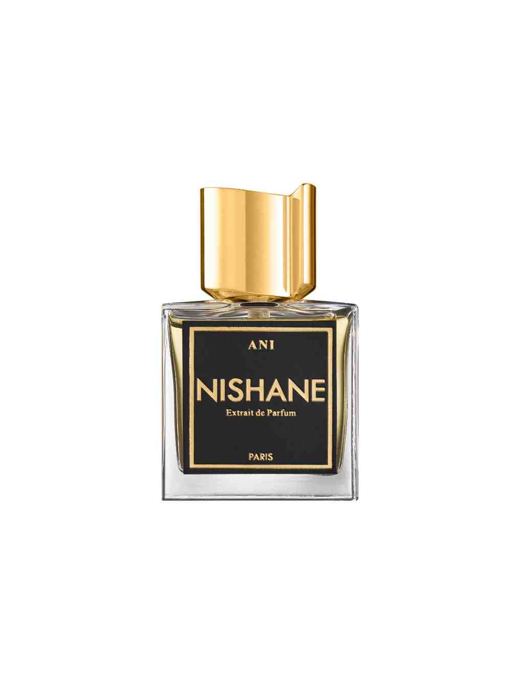 NISHANE ANI