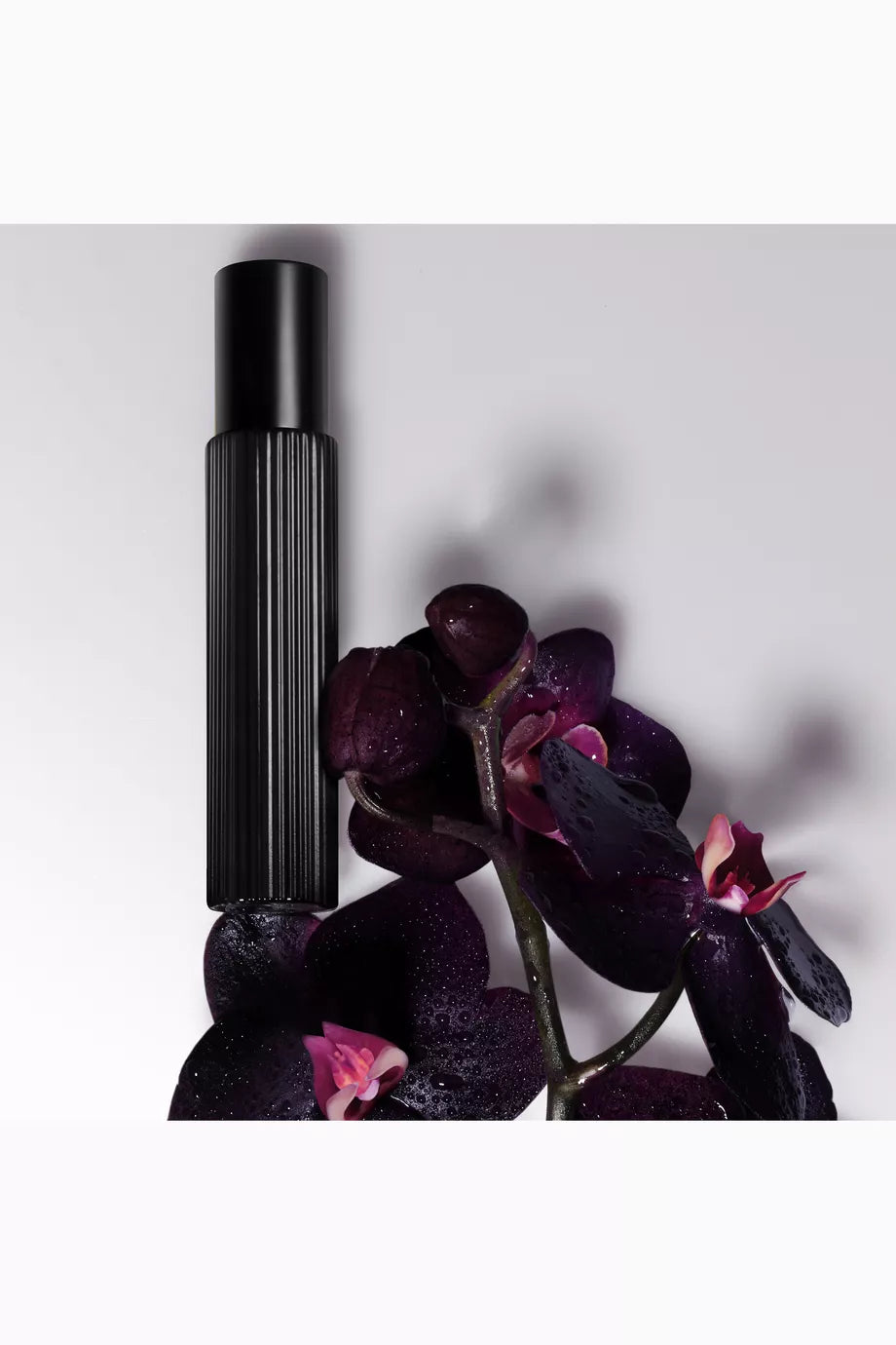 Black Orchid Eau De Parfum 50ML + 10ML Set
