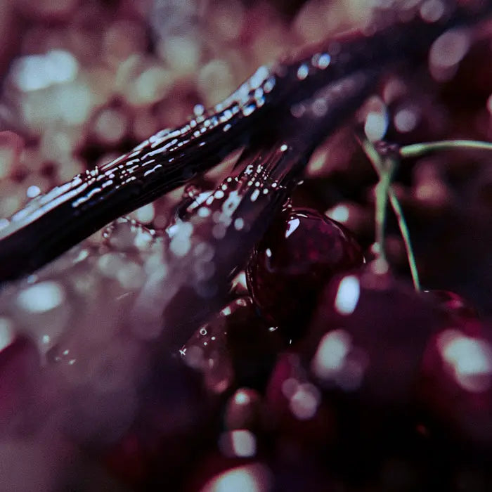 Nottetempo Eau De Parfum 100ml