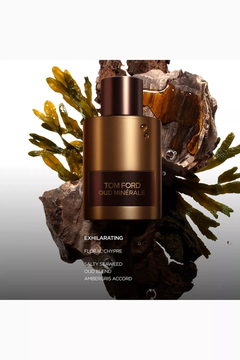 Oud Minerale Eau De Parfum 100ML